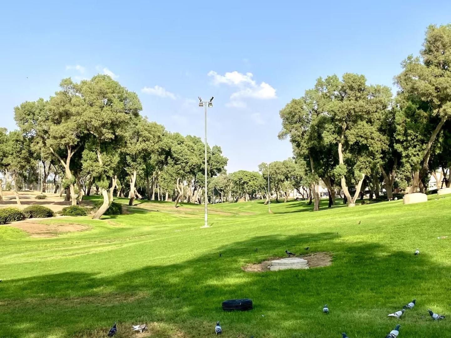 דירה יפיפיה! מיקום מעולה! אוניברסיטת בן גוריון, סורוקה, שוק, פארק! Apartment Beersheba Luaran gambar